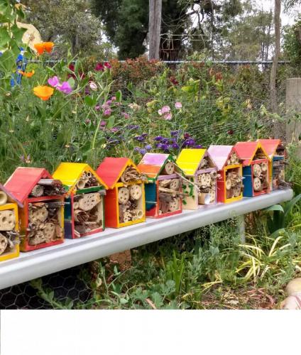 Kindy-1A